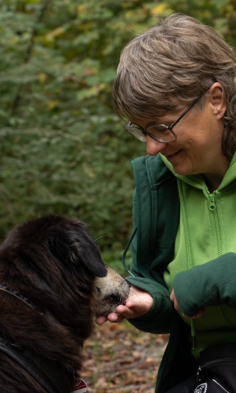 Bildnachweis: J.Schärfke