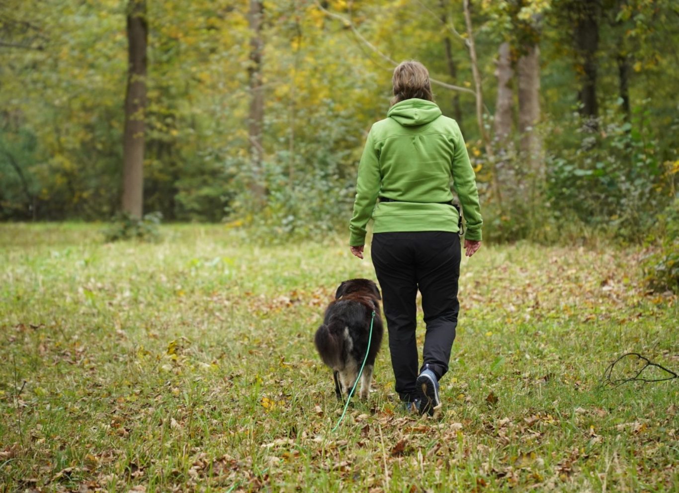 Bildnachweis: J.Schärfke